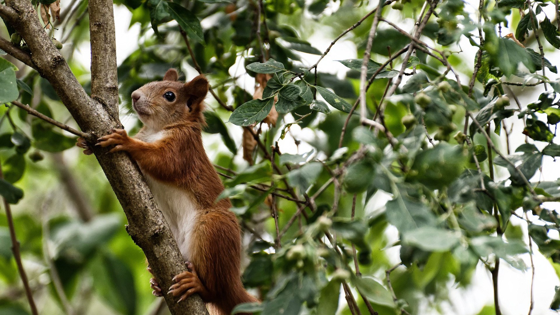【武器装备】棒球装备的最新科技应用，棒球 装备