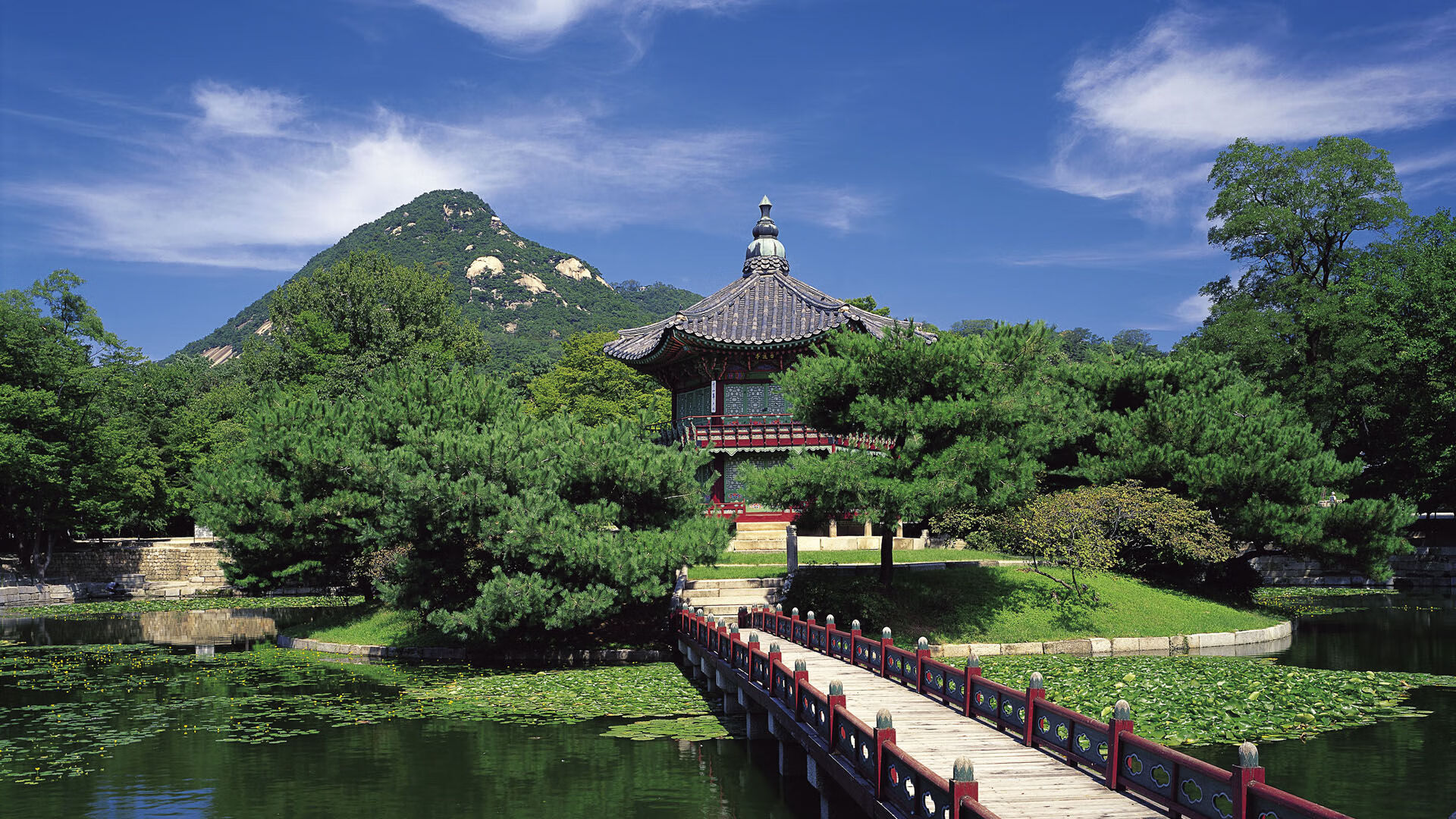 新赛季亮点：球队阵容的重大调整分析，新赛季球队排名