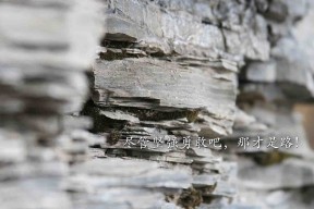 爱游戏app-从开幕到收官：F1年度精彩瞬间集锦，2019年f1揭幕战中获得冠军的车队是