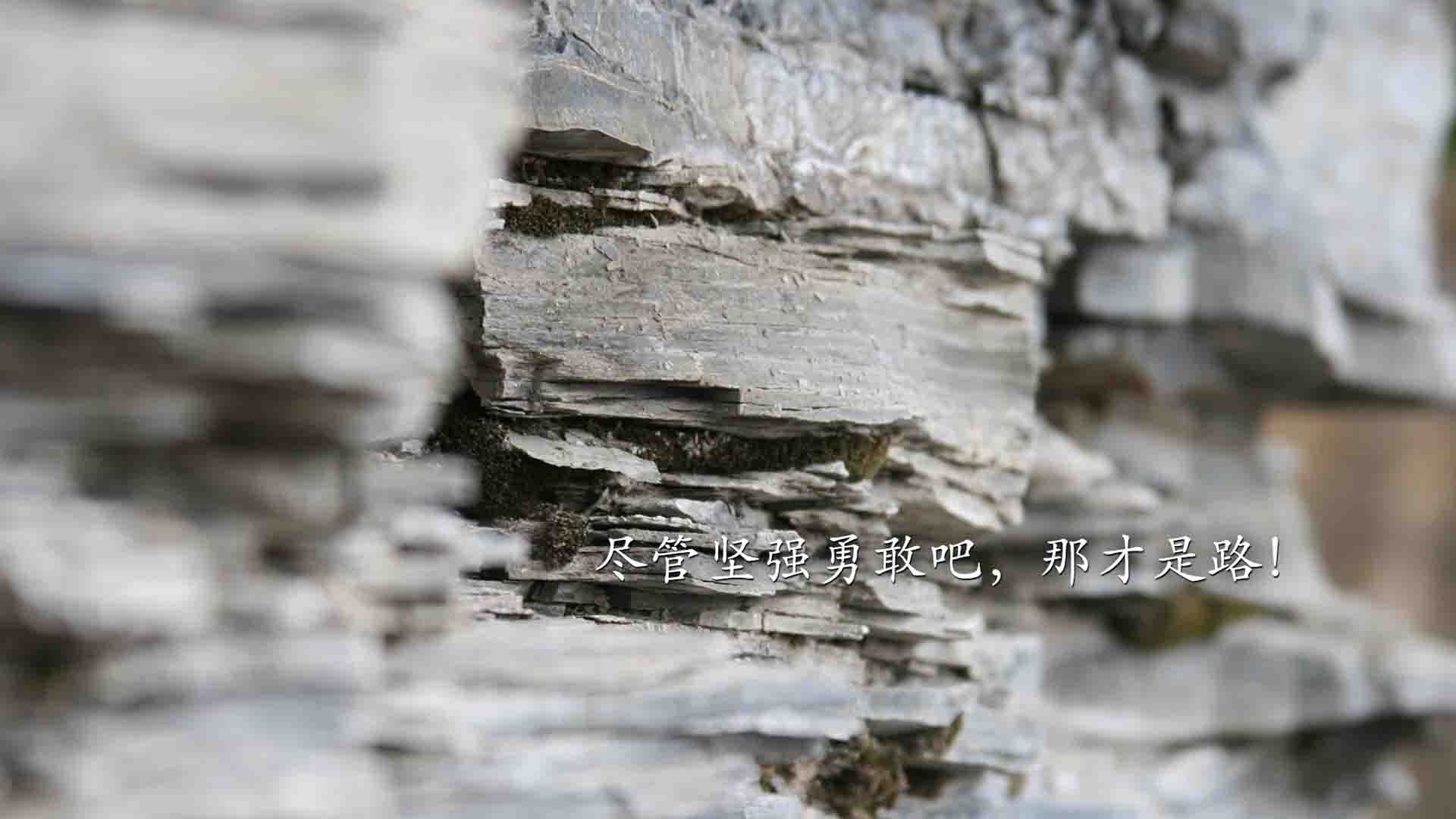 从开幕到收官:F1年度精彩瞬间集锦,2019年f1揭幕战中获得冠军的车队是